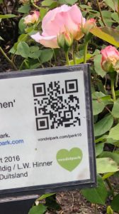 Vondelpark Rosarium Rozenperk 10