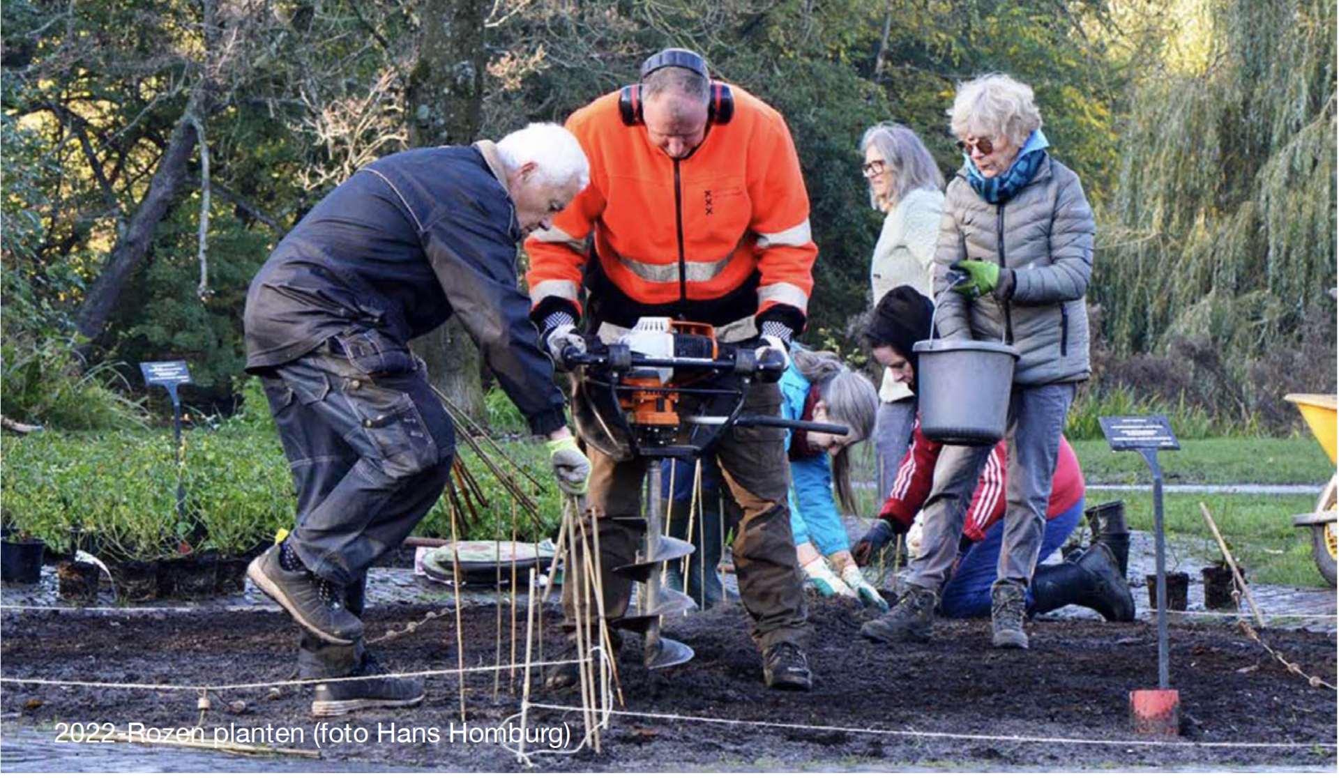 Werken in het rosarium 2023